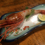 旬魚旬菜まるとび - ボタン海老❤️ エビ大好き❤️