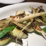 オステリア イル ガルボ - 