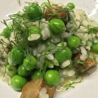 TACUBO - サザエとグリーンピースのリゾット