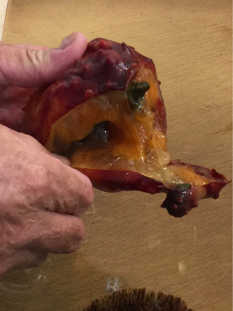 鮮魚うえの - 大船渡（その他）の写真