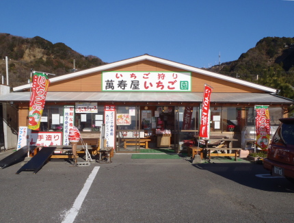 萬寿屋苺園 name=
