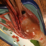 旬魚旬菜まるとび - 