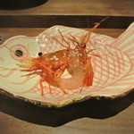 日本料理 潤花 - 活牡丹海老