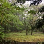 フランスベ－カリー - 