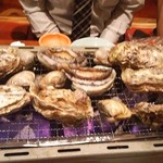 しまなみ直送 真鯛・海鮮料理専門店 鯛将 - 