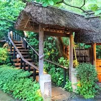 九つ井 本店 - 