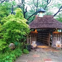 九つ井 本店 - 