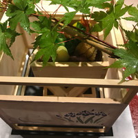 淡悦 - 