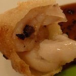 ロアラブッシュ - 