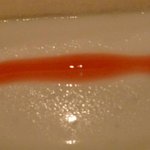 ロアラブッシュ - 