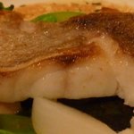 ロアラブッシュ - 