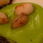 ロアラブッシュ - 