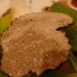 ロアラブッシュ - 