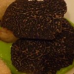 ロアラブッシュ - 