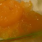 ロアラブッシュ - 