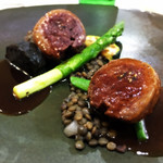 エクロール - 2017/5再訪。アナグマ。これを食べにきました。今年に入ってからのジビエ経験値の上昇が著しい。アスパラ、ズッキーニ、レンズ豆、ジュのソースで。