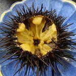 松前産　殻付生ウニ