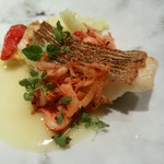 レストラン リューズ - 青森産アイナメのポワレ　桜えびを添えて　エマルジョンソースで