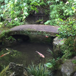 宝泉院 - 庭の池