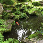 宝泉院 - 庭の池