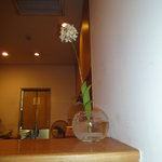 小石川 かとう - 本日のお花