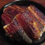 イチビキ - 特上丼