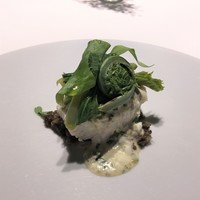 レフェルヴェソンス - 市井の山居：あいなめの乳清ポシェと山菜たち、山椒ラヴィゴット、マッシュルーム＆ブラックオリーブ