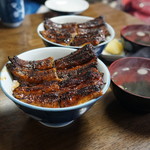 田代 - 鰻丼並