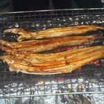 炭焼あなご やま義 - 