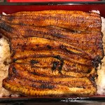 Unagi Nakaya - 