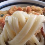 手打ちうどん　よこい - ズッシリした感じの麺です