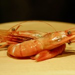 アカ - 北海道牡丹海老を半生で仕上げたエルビド （塩水にライムで香り付け）