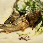 アカ - 焼鮎とハーブのサラダにアホ・グランド掛け