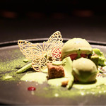 スポンテニアス - 緑の森に蝶が舞う