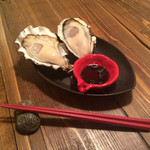 Today's raw Oyster