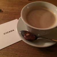 CICADA - 