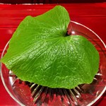 銀座 しのはら - 山葵の葉