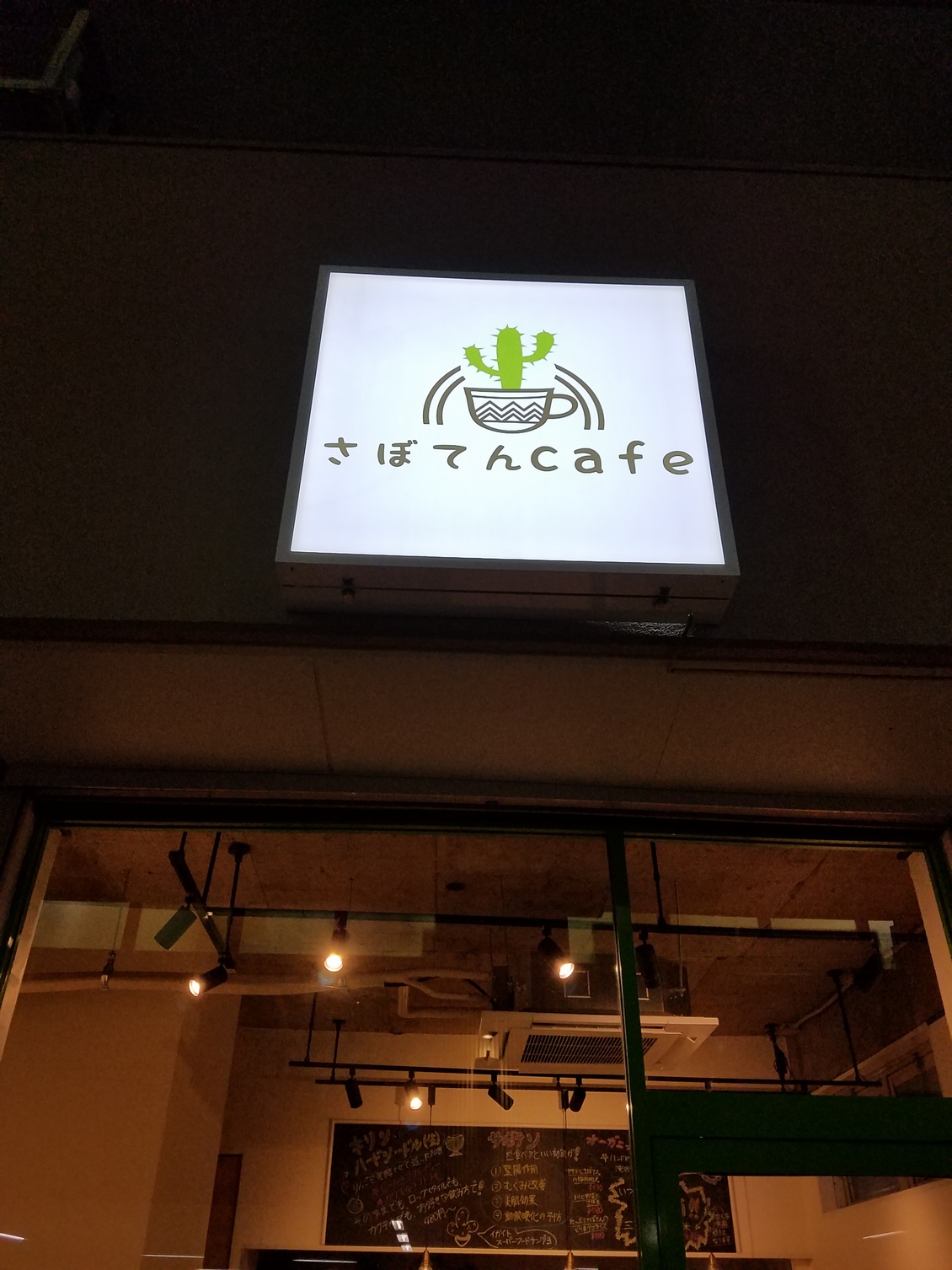 さぼてん本舗 サボテン TRUNK GARDEN PLANTS MARKET | . TRUNK GARDEN PLANTS