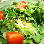 燻製と地ビール 和知 - ジャコとパクチーのサラダ