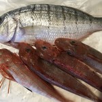 ITTICA MANTOVAN S.N.C. - Pesce Misto 18EUR/kg