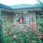 シェ・ホンダ - 