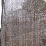 のんき坊 - 壁がない～