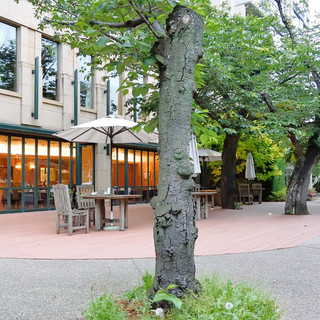 ホテルJALシティ広島_2