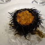 ラ・ターブル・ド・トリウミ - 前菜：函館産活ウニのジュレ