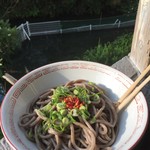 池内うどん店 - やはり基本は蕎麦（冷）から(*´▽｀*)