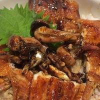 うなぎのしろむら - 活うごなぎ肝入り丼
