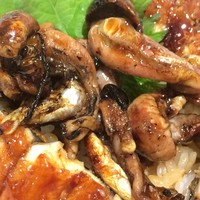 うなぎのしろむら - 活うごなぎ肝入り丼