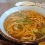 古式手打うどんそば 達磨 - うどん