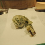 くろぎ - こごみ