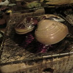 ヤマト - 2011年初回訪問時。